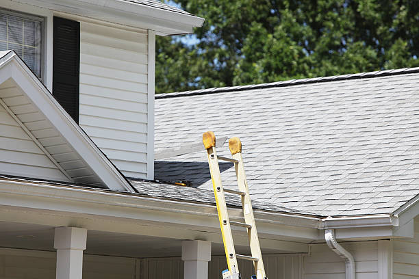 Best Shed Removal  in Brownsville, OR